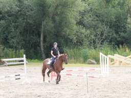 img_5868_web